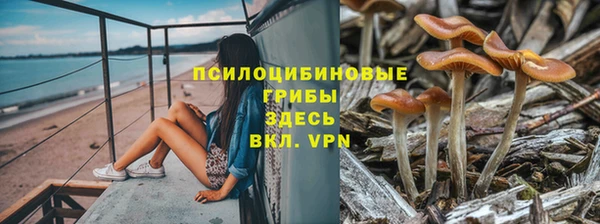 spice Алексин