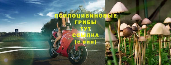 Альфа ПВП Алзамай