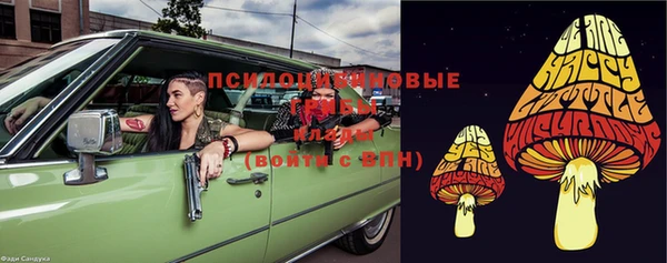 Альфа ПВП Алзамай