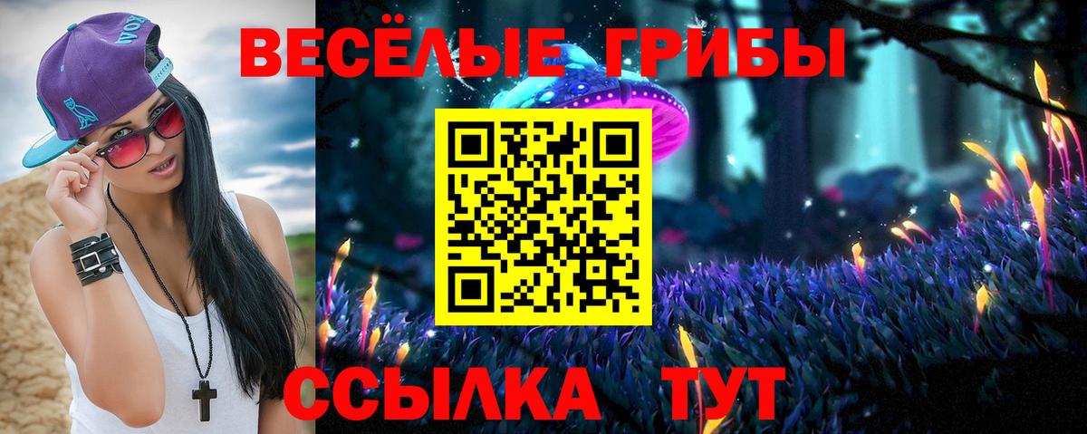 Псилоцибиновые грибы MAGIC MUSHROOMS  купить   Красноярск  Вход с VPN 